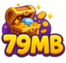 79MB